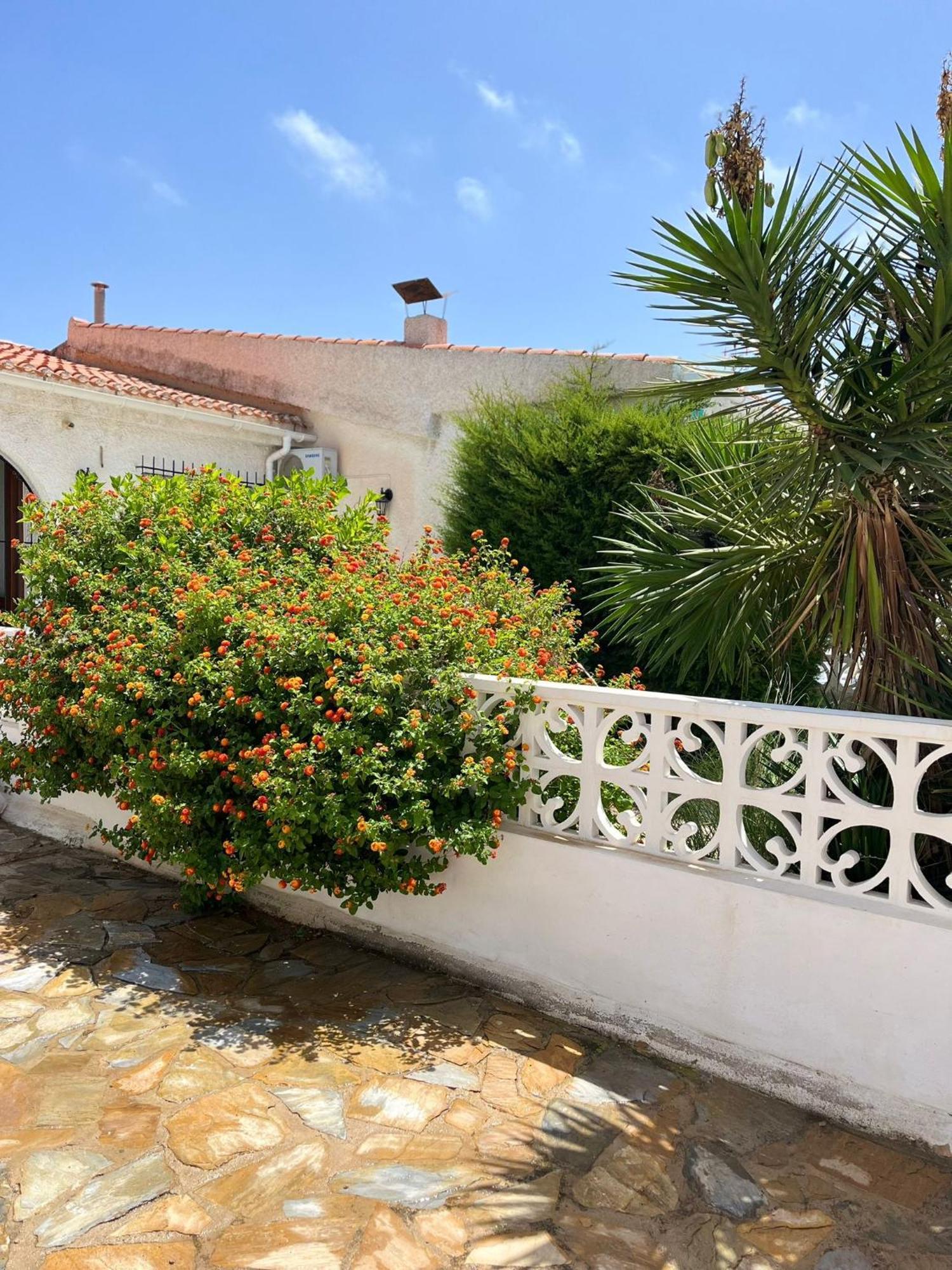 Holiday Apartments Torrevieja Dış mekan fotoğraf