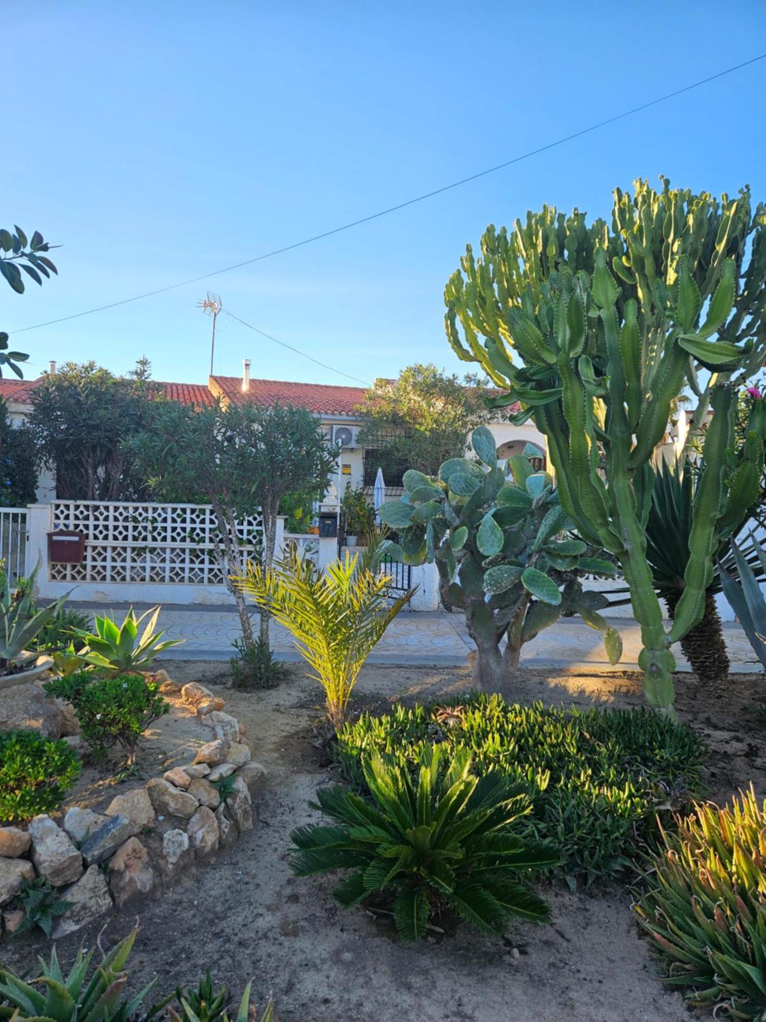 Holiday Apartments Torrevieja Dış mekan fotoğraf