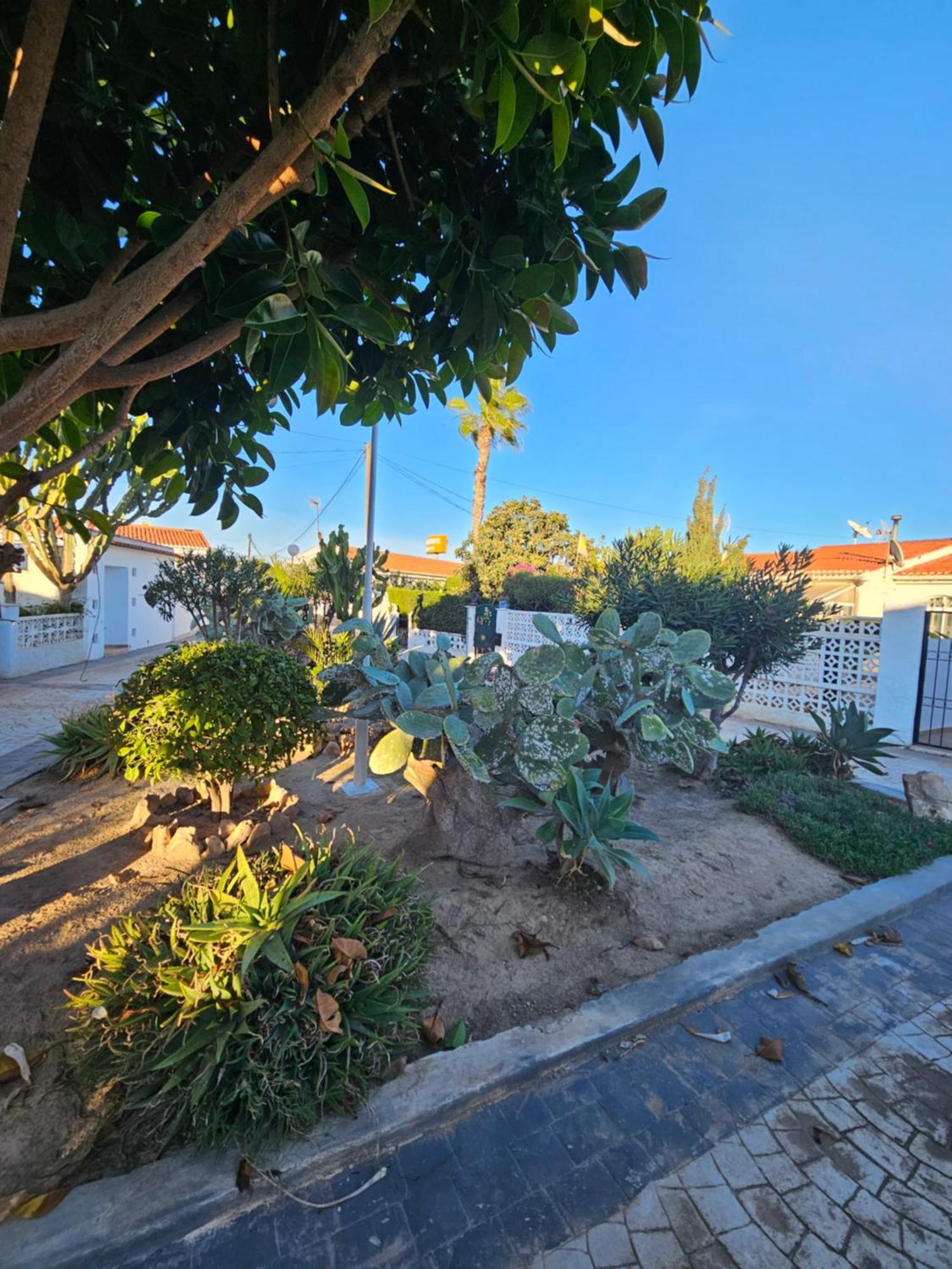 Holiday Apartments Torrevieja Dış mekan fotoğraf